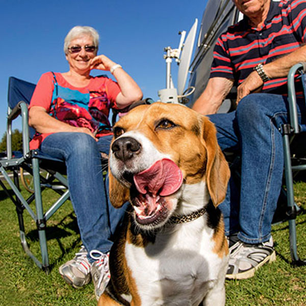 725x420_Pet friendly holiday parks victoria