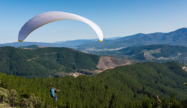 man paragliding in bright