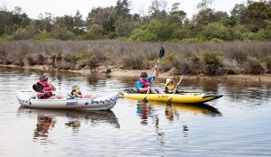 Two kayaking paddling down a river in East Gippsland