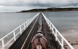 victor harbour horse on bridge