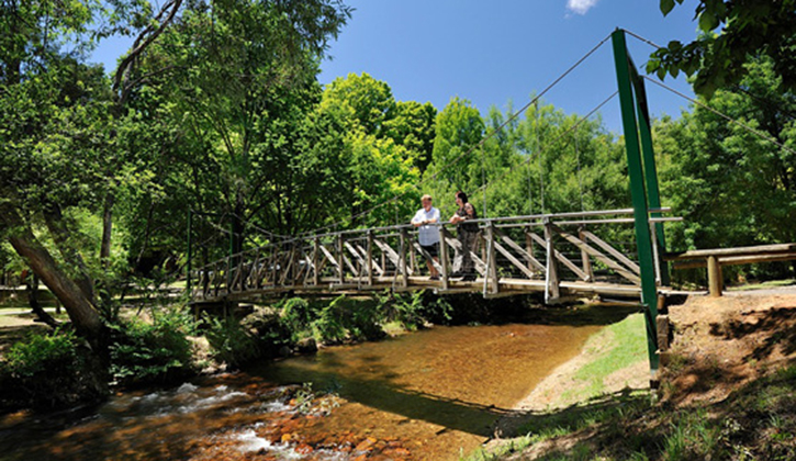 bright bridge for bushwalking and hiking