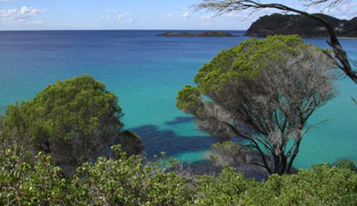 myall shores national park