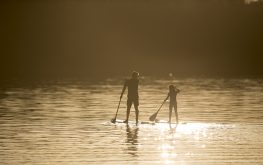 myall shores lake paddleboarding