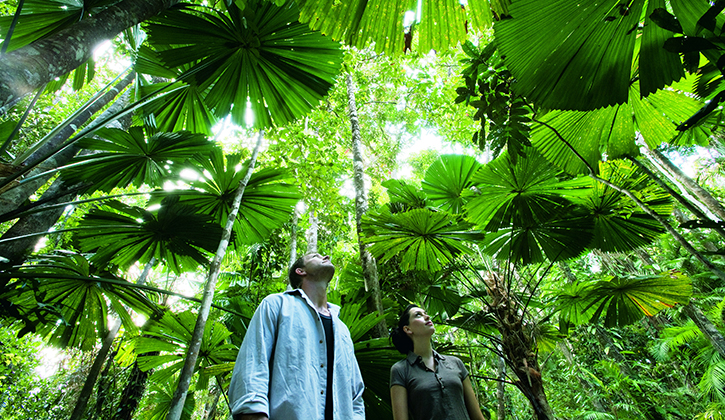 Two people standing in a Cairns Rainforest