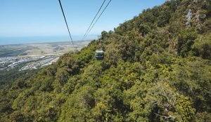 Cairns Skyrail Rainforest Cableway with view of Cairns in the ditance
