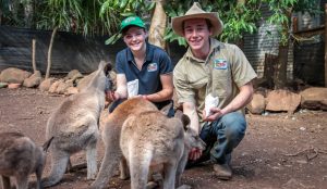 Two people feeding kangaroos at Cooberrie Park Wildlife Sanctuary