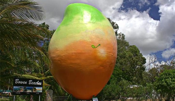 Close up of The Big Mango in Bowen