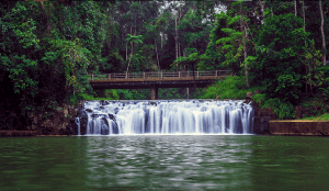 Atherton tablelands waterfall