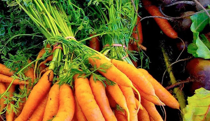 Dubbo market carrots for sale