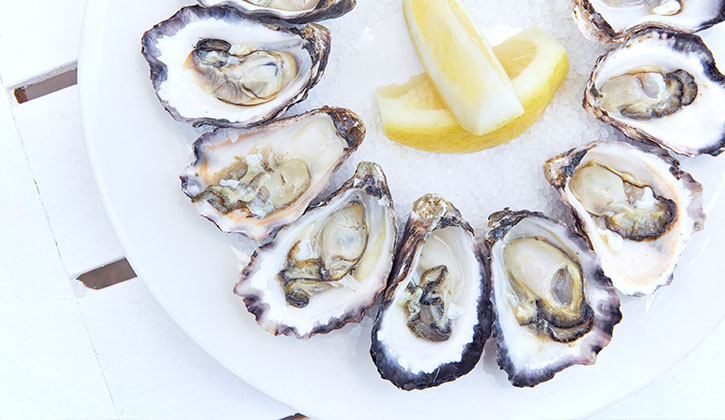 murramarang oysters close up
