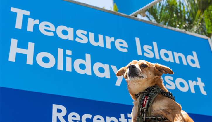 treasure island pet friendly